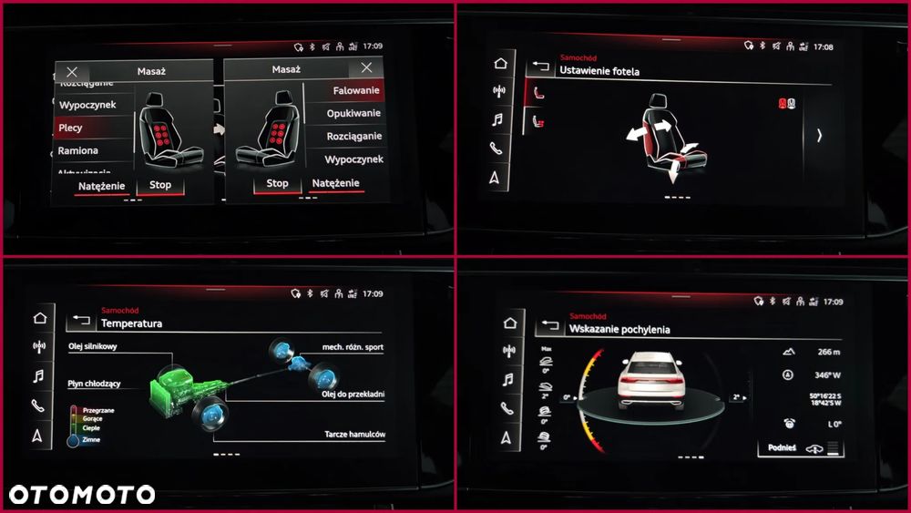 Audi RS Q8 TFSI quattro tiptronic - 19