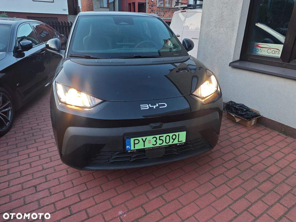 BYD Dolphin Surf 43.2kWh Boost - 27