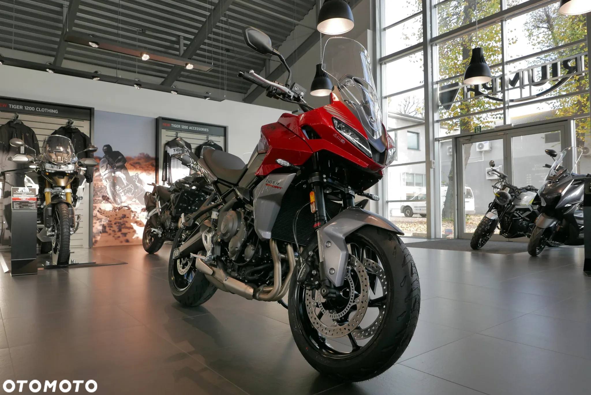 Triumph Tiger - 12