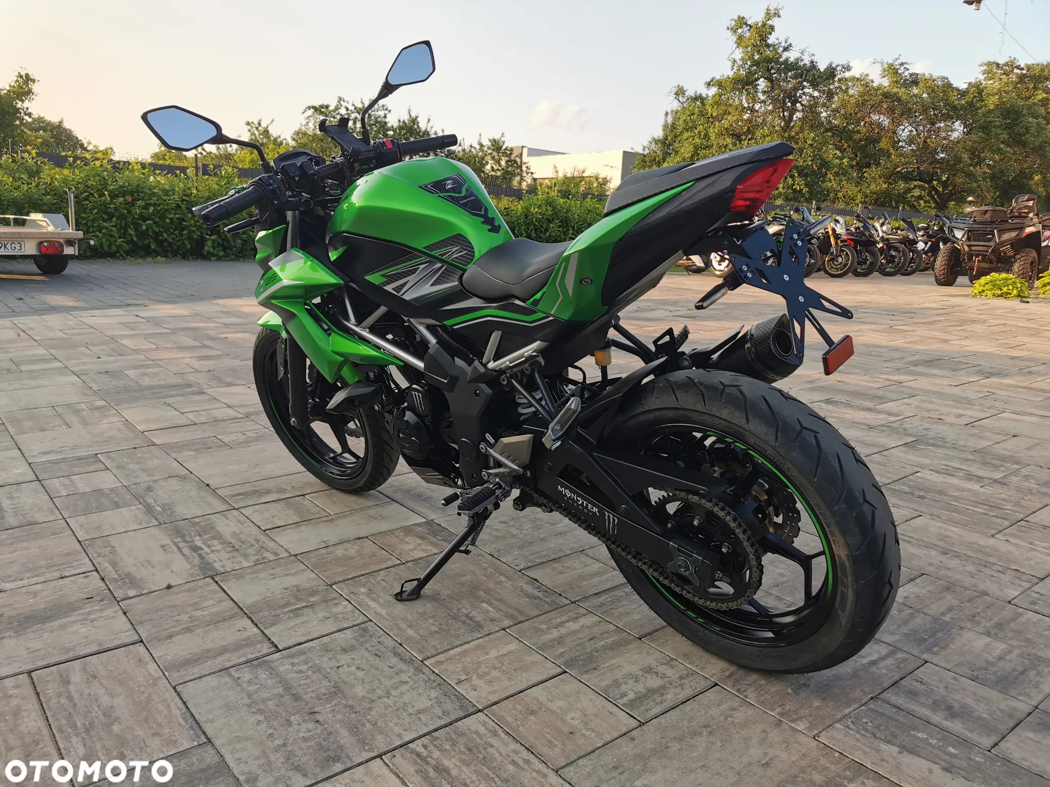 Kawasaki Z - 6