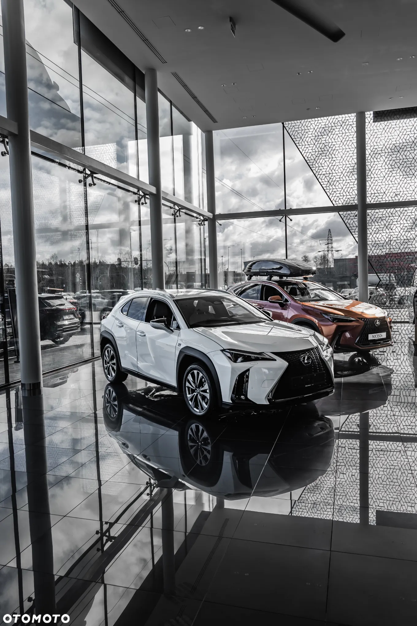 Lexus UX 300h F Sport Design AWD - 10