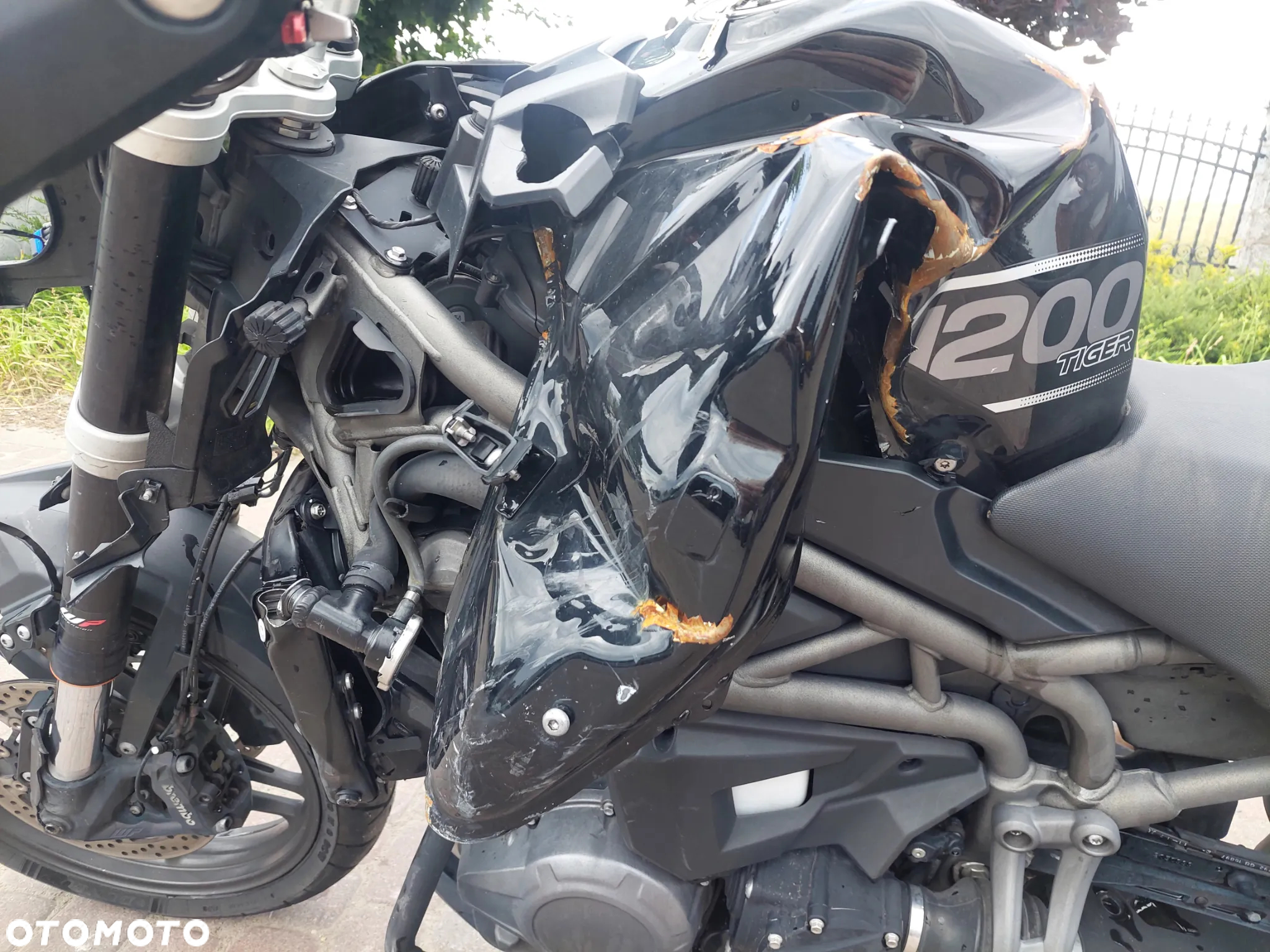 Triumph Tiger - 10
