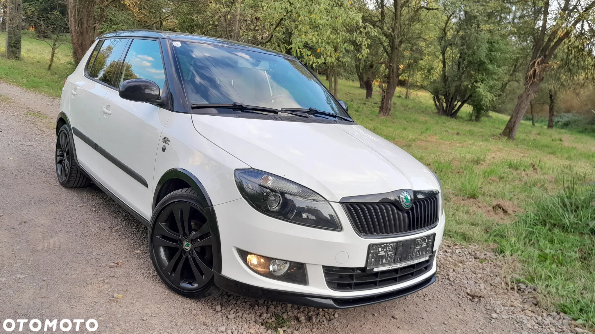 Skoda Fabia - 15