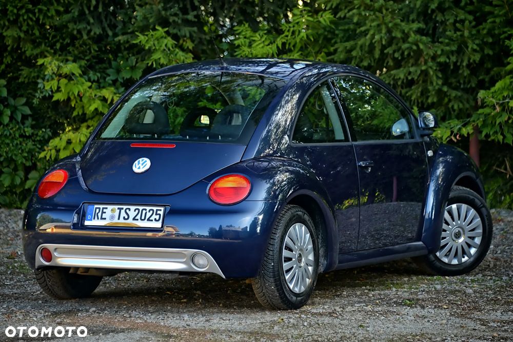 Volkswagen New Beetle - 18