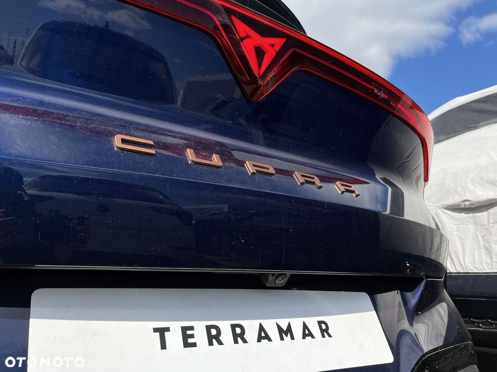 Cupra Terramar - 14