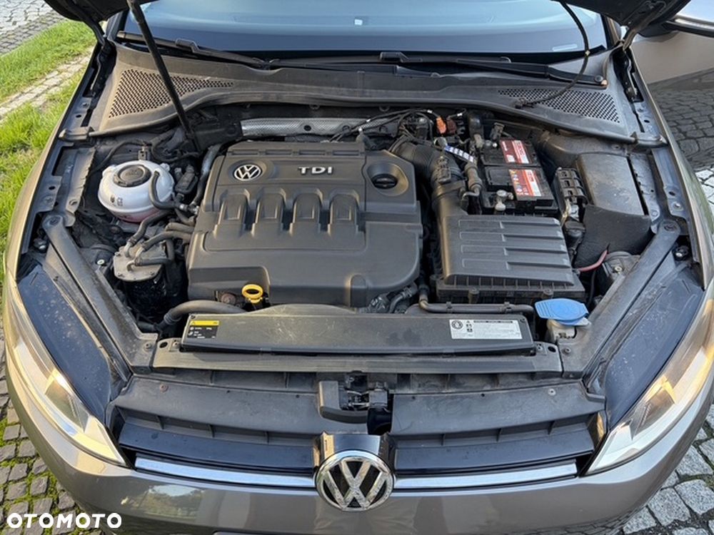 Volkswagen Golf - 15