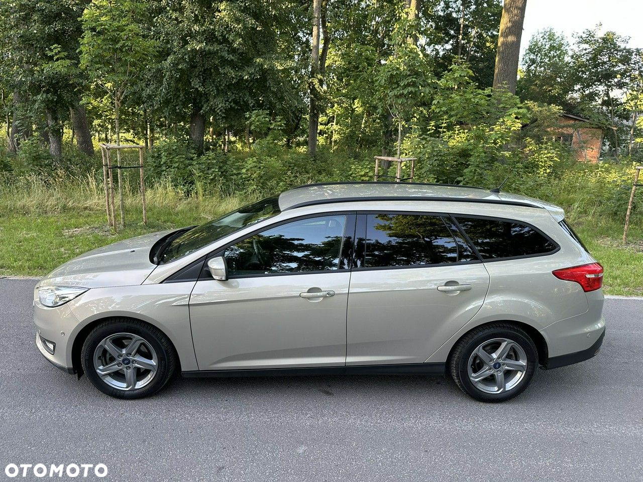 Ford Focus - 4