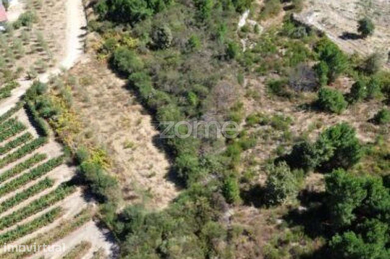 Terreno para Construção – 16.050 m² - Grande imagem: 4/13
