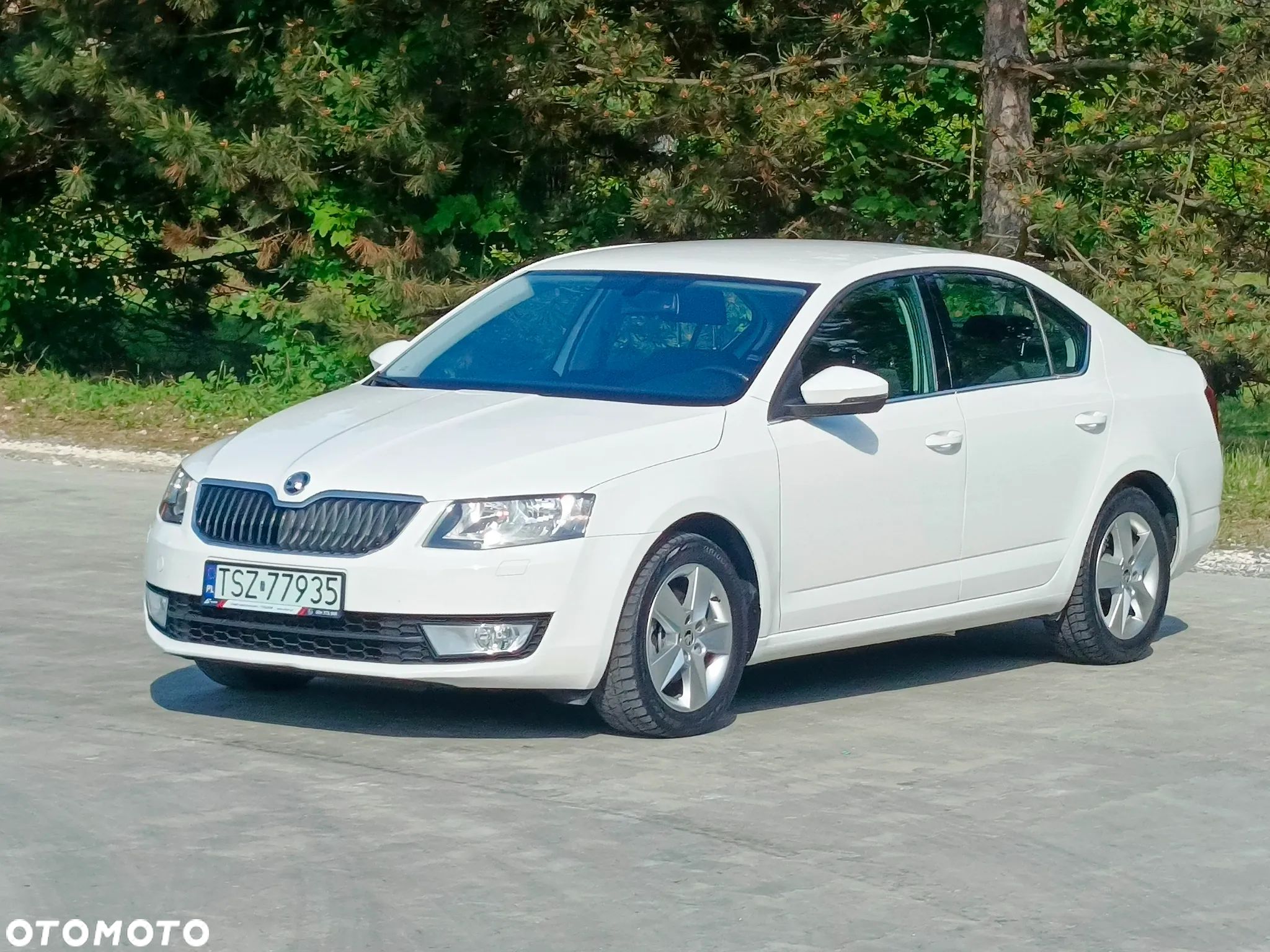 Skoda Octavia 1.6 TDI Greenline - 1