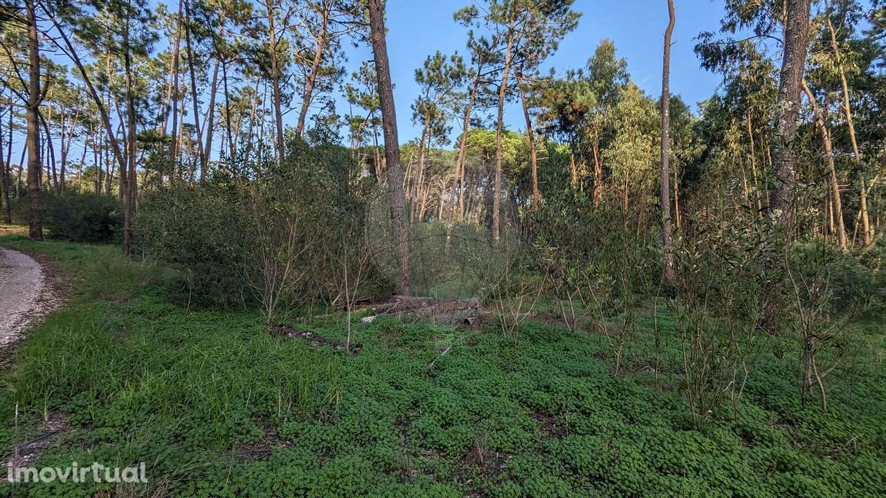 Terreno  para venda - Grande imagem: 5/19