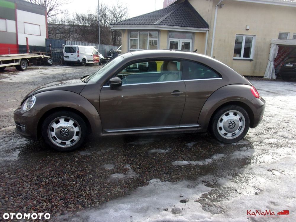 Volkswagen Beetle - 7
