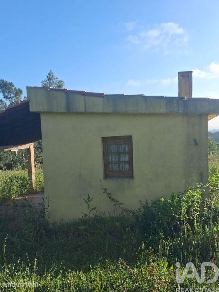 Terreno Agrícola em Alcobaça e Vestiaria - Grande imagem: 4/21