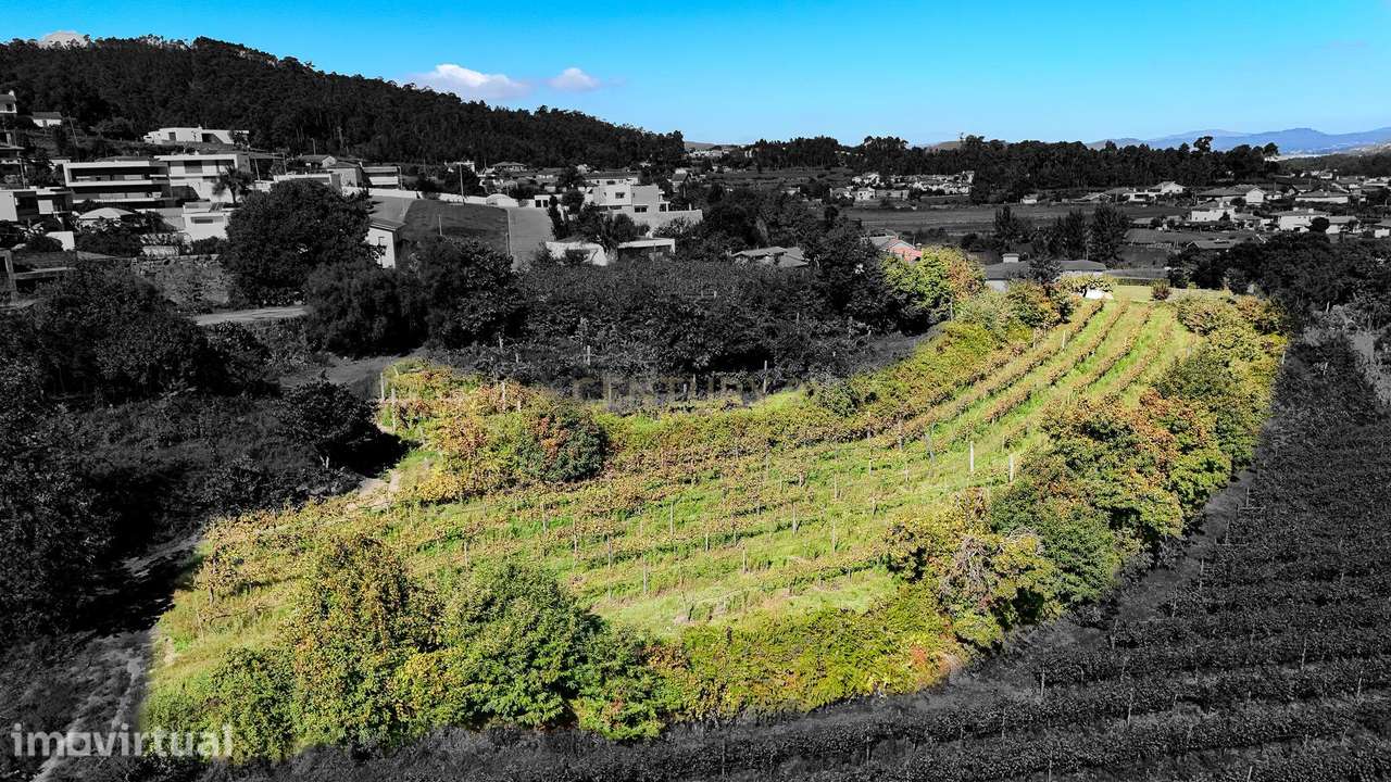 Terreno com Vista Panorâmica em Gamil, Barcelos - Grande imagem: 4/13