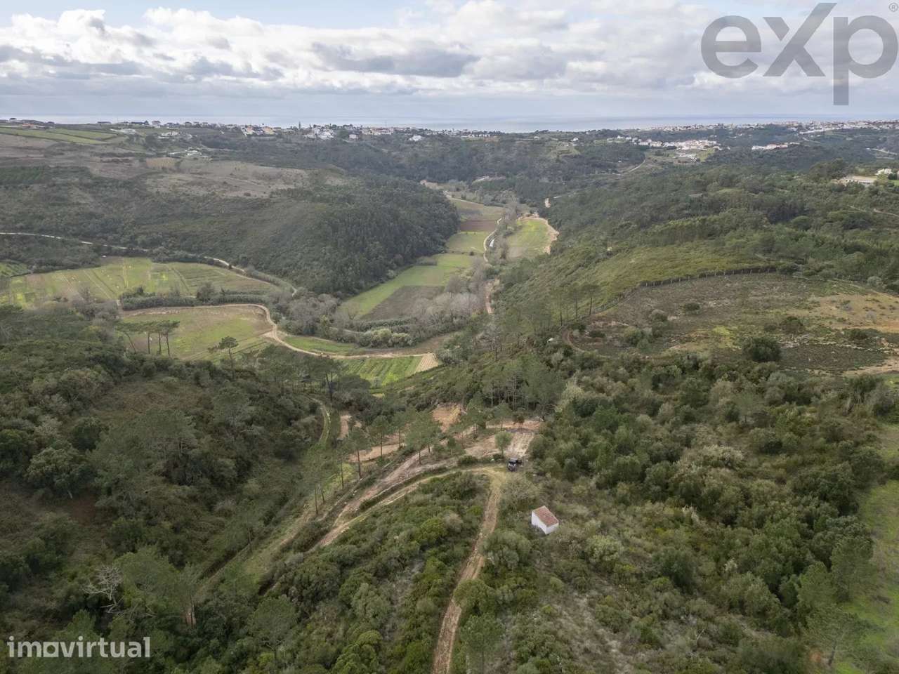 Vale da Pia - Montesouros - Grande imagem: 4/11