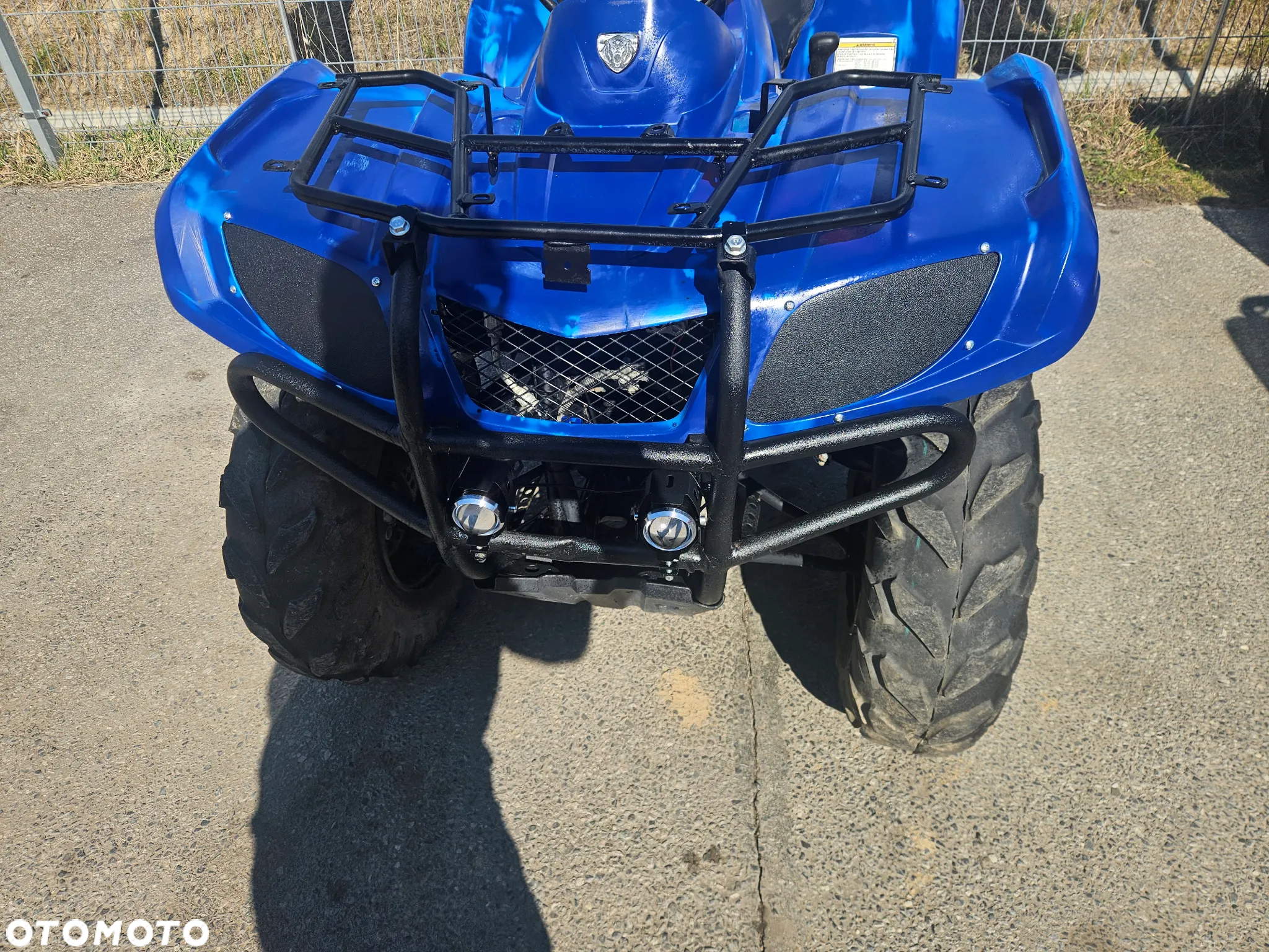 Yamaha Grizzly - 3