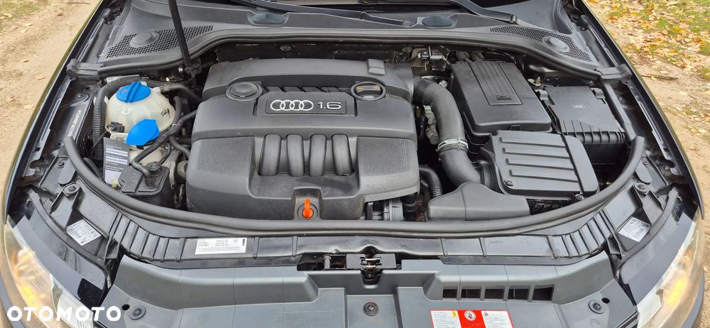 Audi A3 Sportback 1.6 Limited Edition - 18