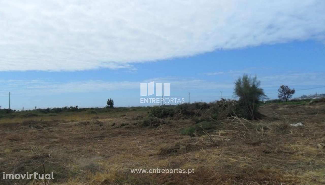 Terreno - Carreço - Grande imagem: 3/4