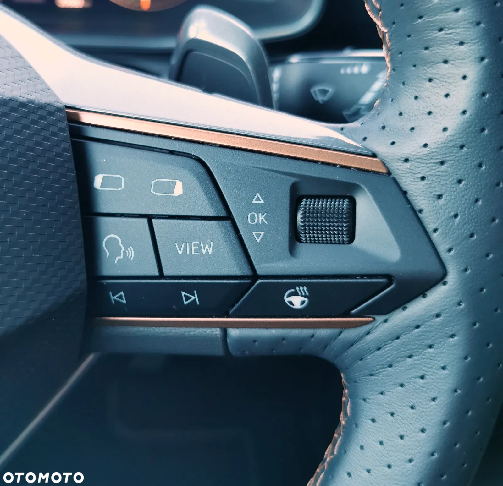 Cupra Formentor 1.5 TSI DSG - 12
