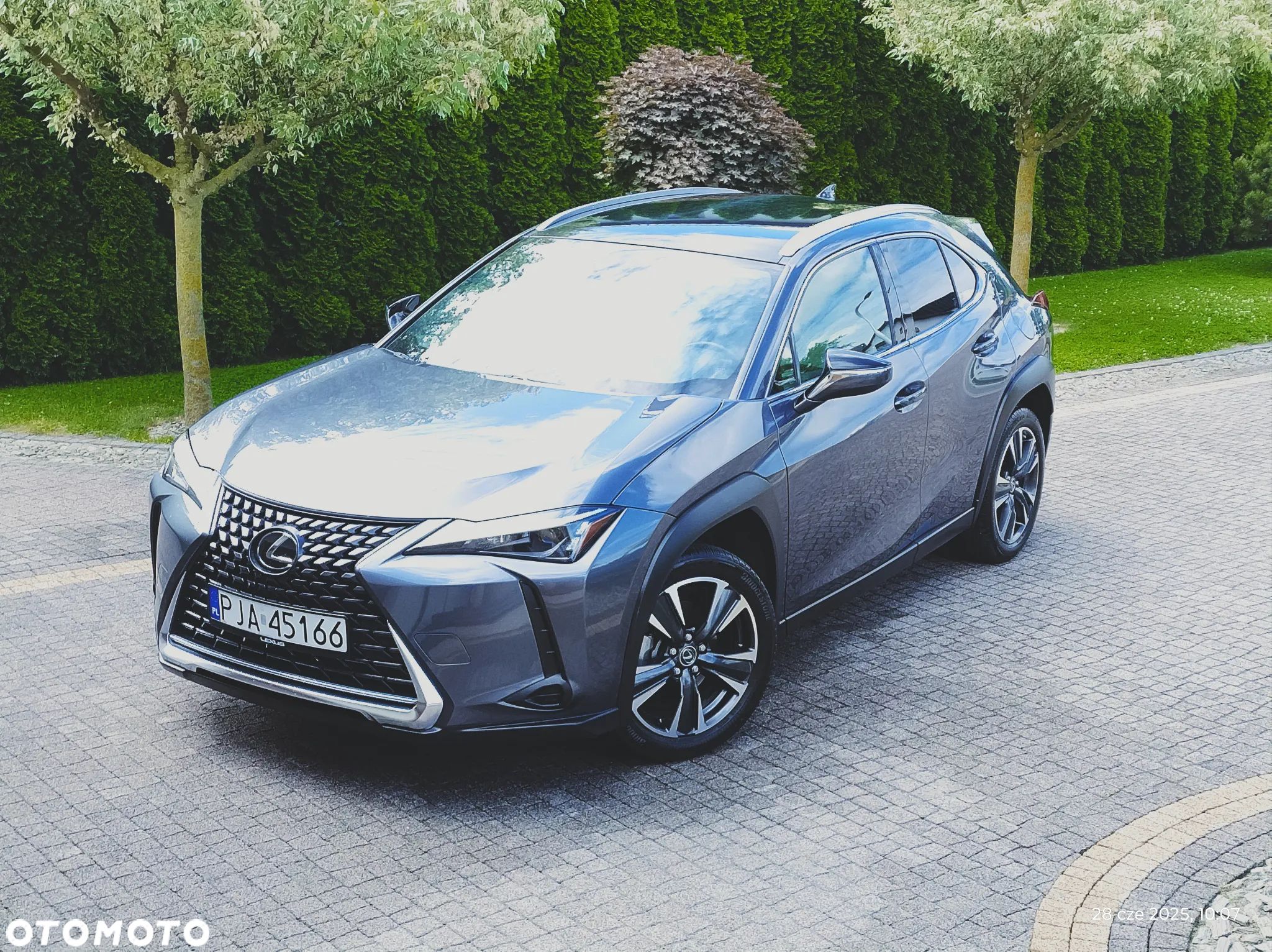 Lexus UX 250h GPF Business AWD - 1