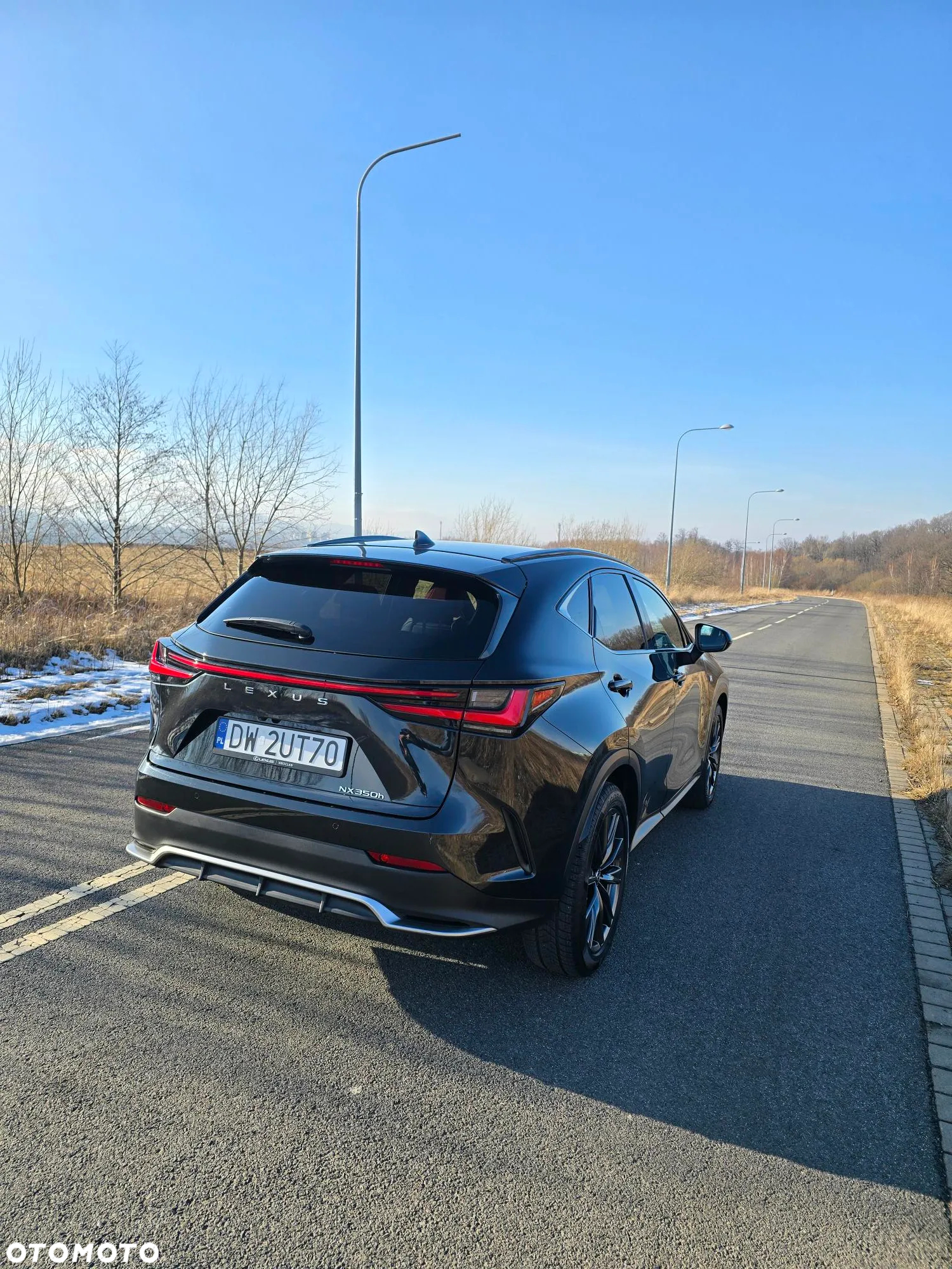 Lexus NX 350h F Sport AWD - 5