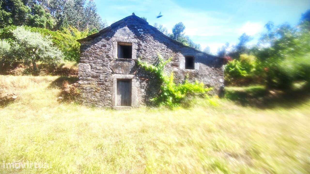 Casa/ Ruína em S. Miguel do Mato - Grande imagem: 3/26