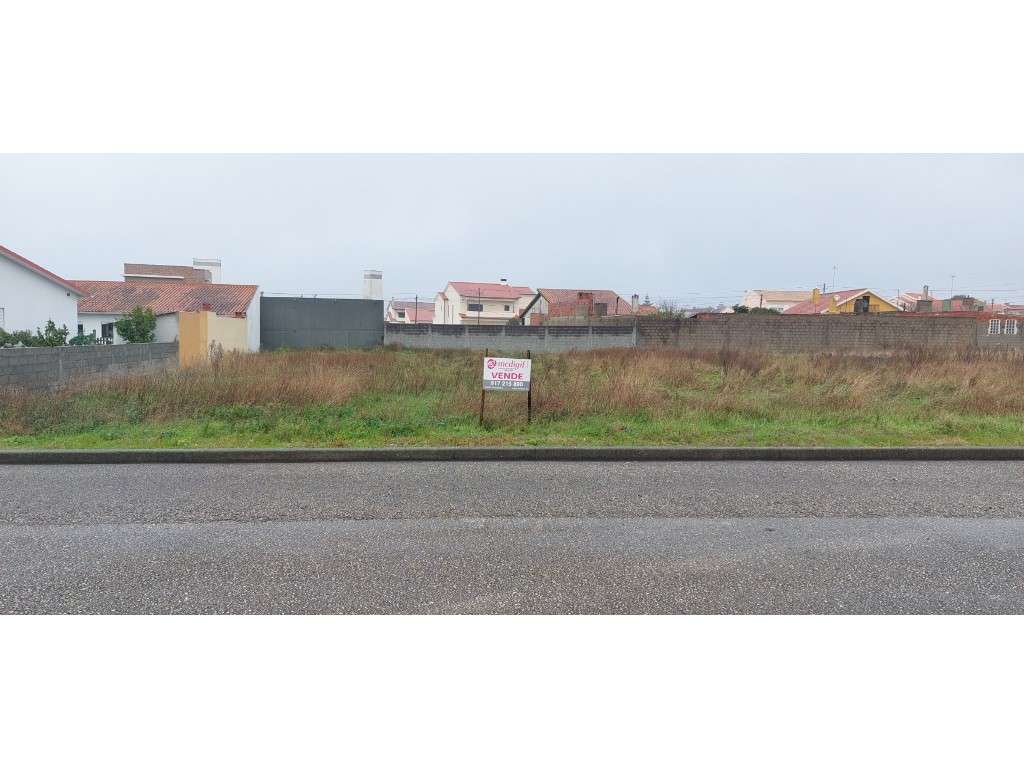 Terreno plano para construção nos Talhões em Vieira de Leiria - Grande imagem: 2/3