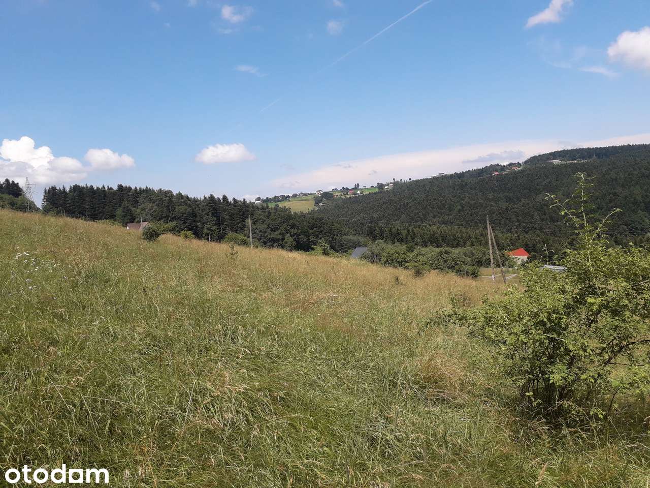 Widokowa działka budowlana - WARUNKI ZABUDOWY - zaraz przy lesie - Pełny obrazek: 4/8