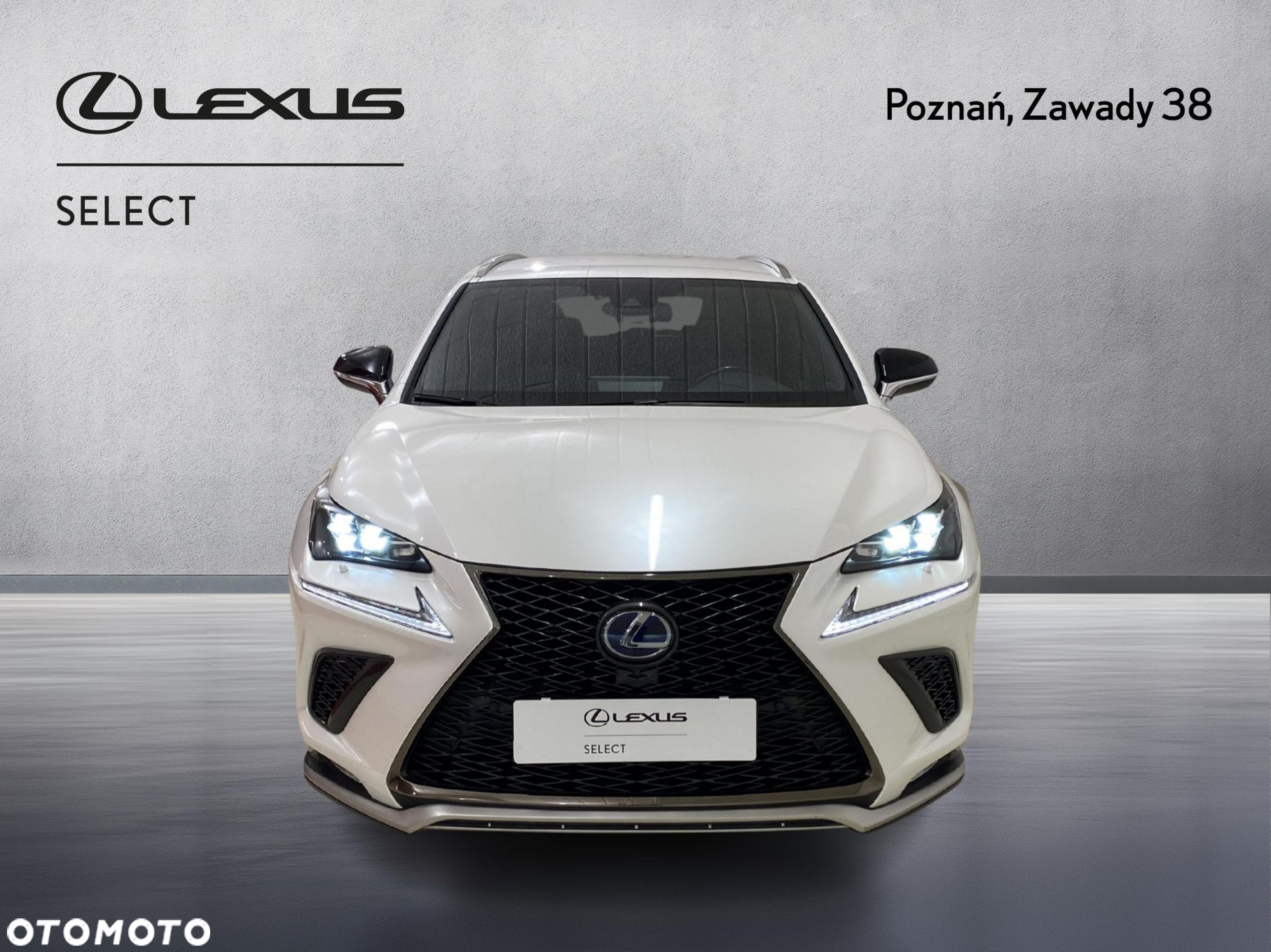 Lexus NX 300h F Sport Edition AWD - 8