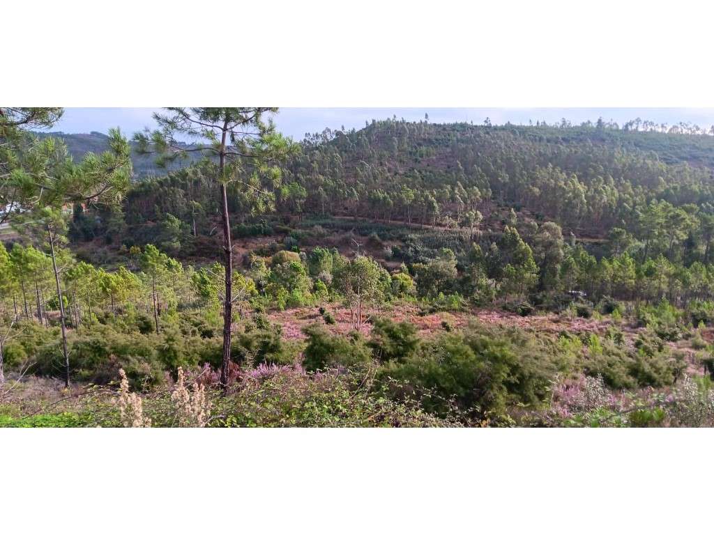 Terreno Rústico com 3.400 m² em Malhada, Caratão Mação - Grande imagem: 2/4