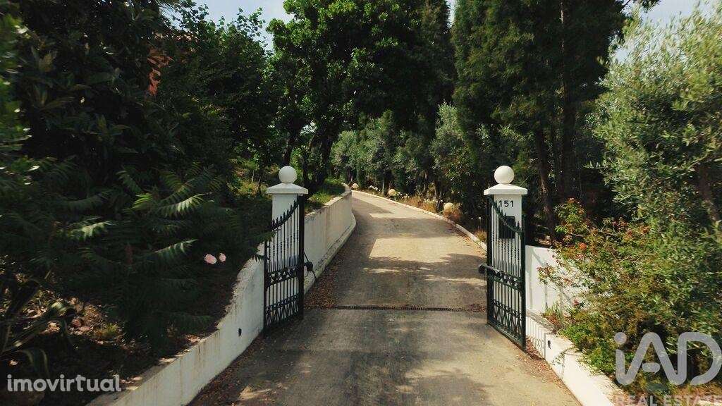 Quinta T4 em Sangalhos de 418,00 m2 - Grande imagem: 5/27