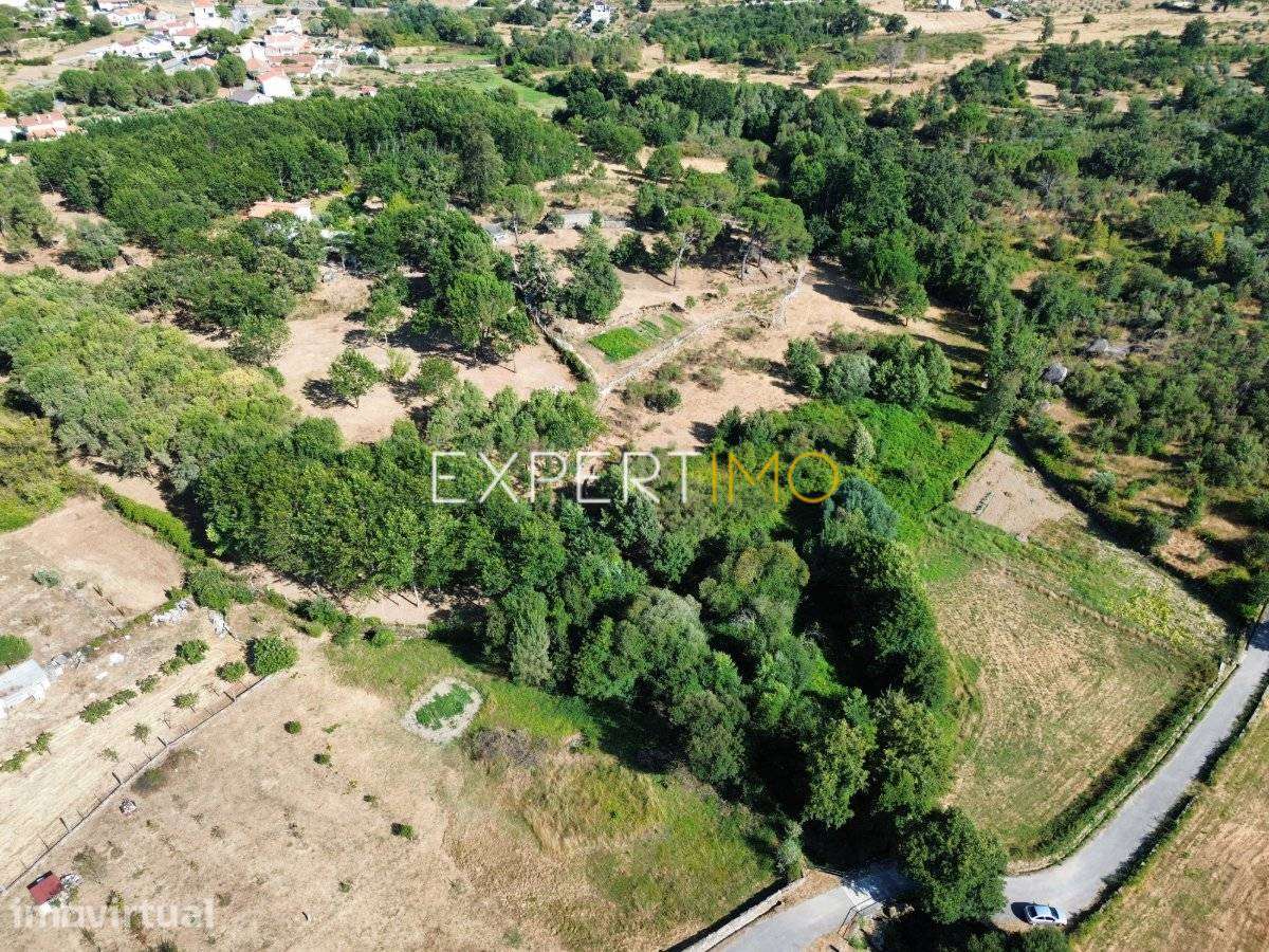 Terreno Rústico com 7.211 m² e Confinante com Ribeiro – Conchadas,... - Grande imagem: 4/5