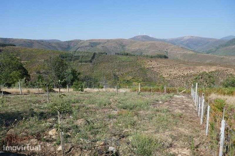 Terreno de 2600 m2 com vista de encantar - Grande imagem: 3/12