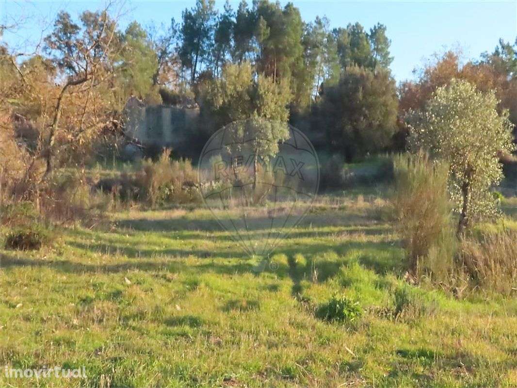 Quinta  para venda - Grande imagem: 5/25