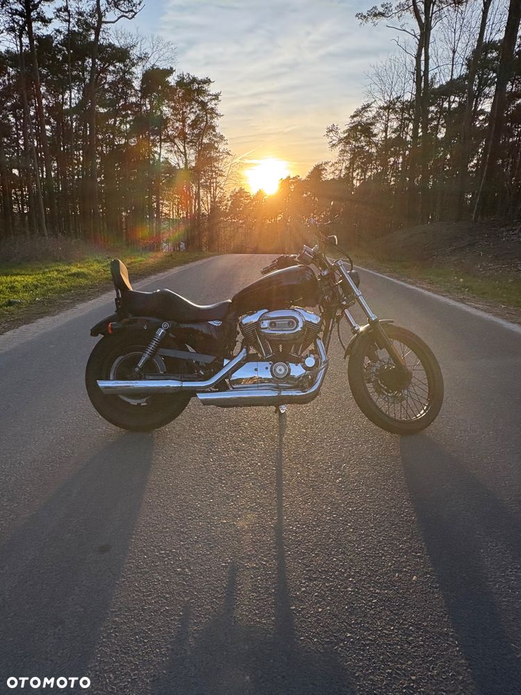 Harley-Davidson Sportster Custom 1200C - 5
