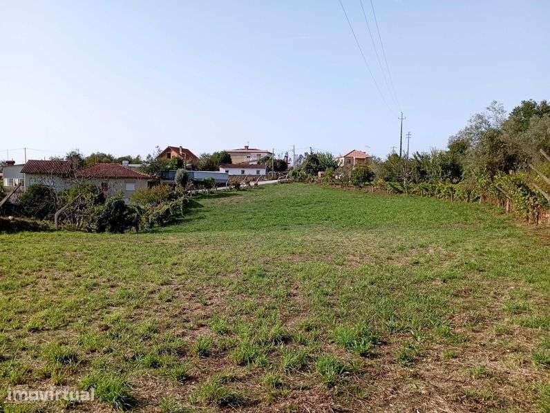 Terreno - Albergaria-a-Velha (Valmaior, Póvoa) - Grande imagem: 5/7
