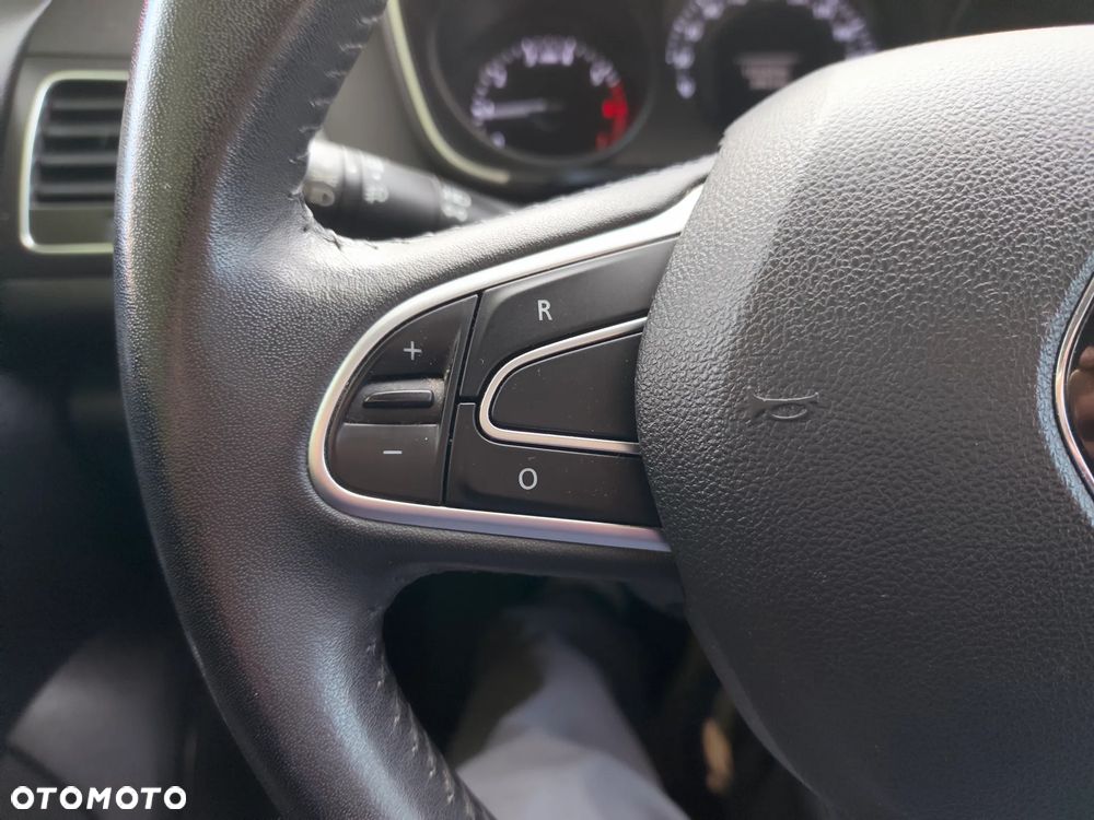 Renault Megane - 23