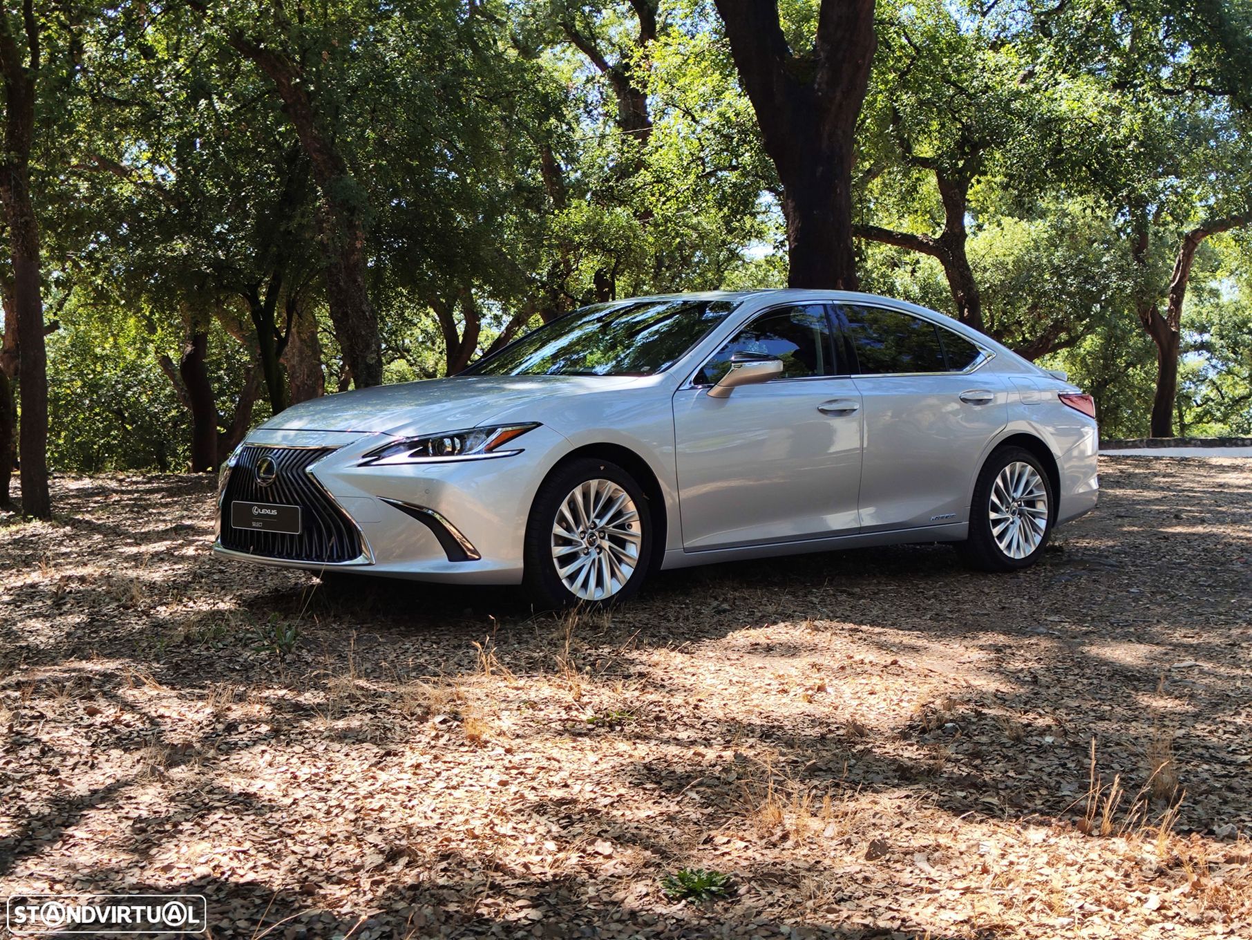 Lexus ES 300h Executive+ - 1
