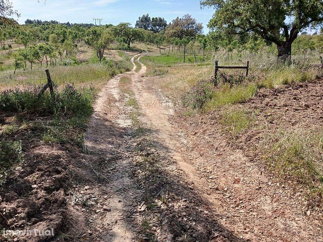 Moradia T2 para venda - Grande imagem: 3/14