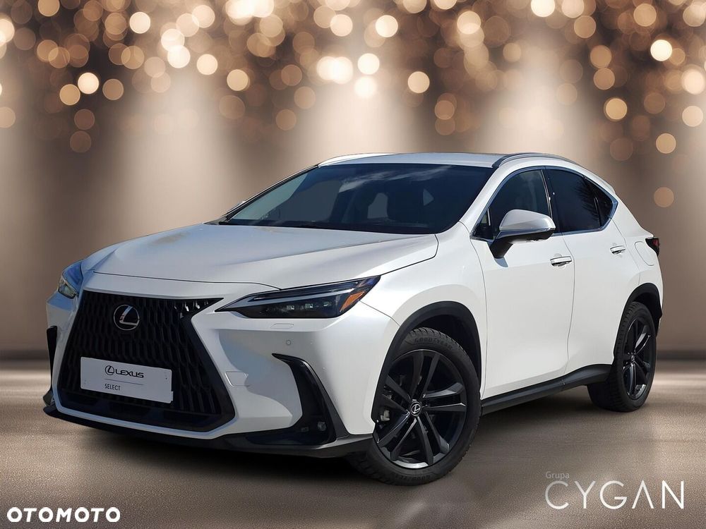 Lexus NX - 2