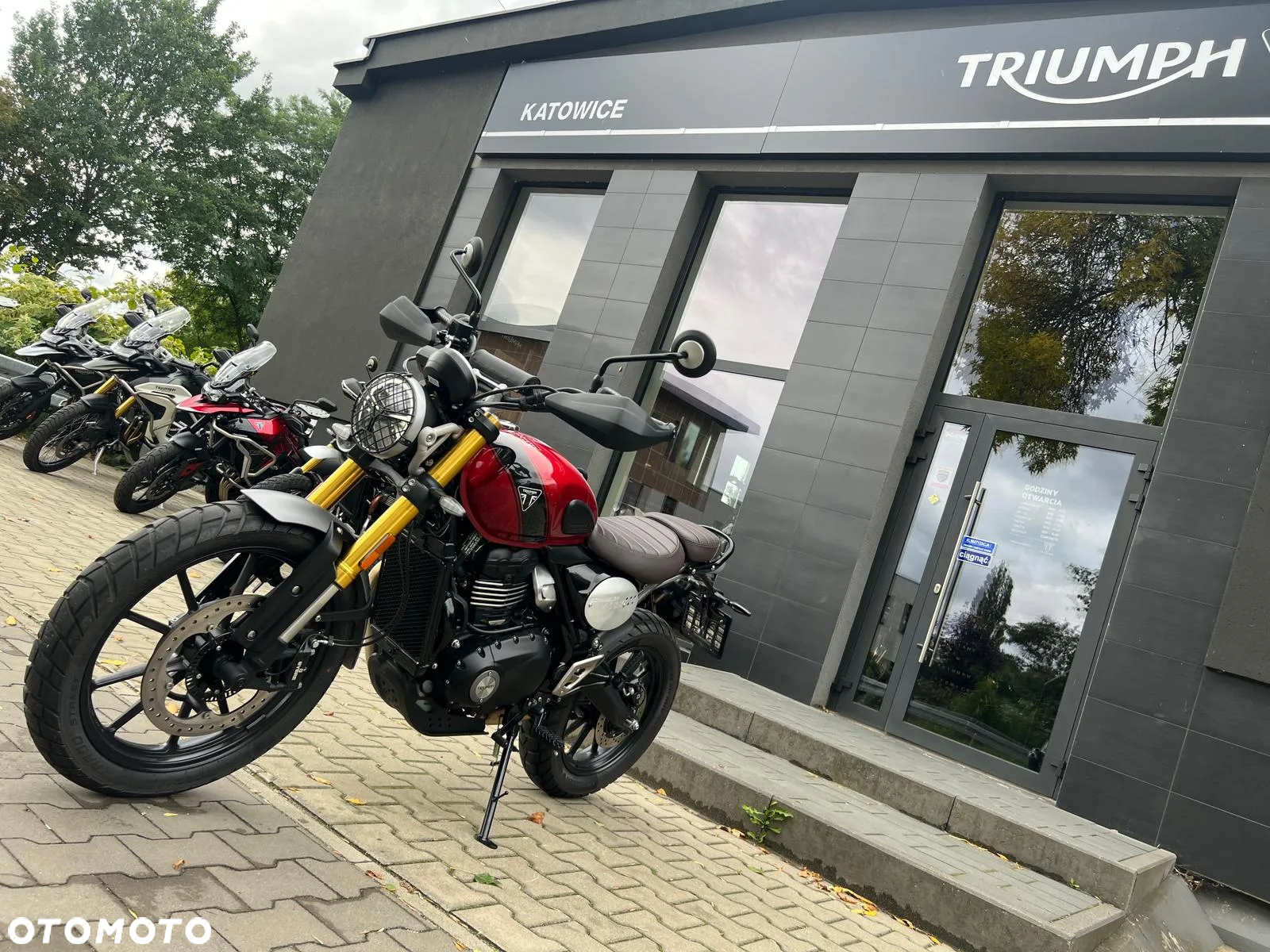 Triumph Scrambler - 5