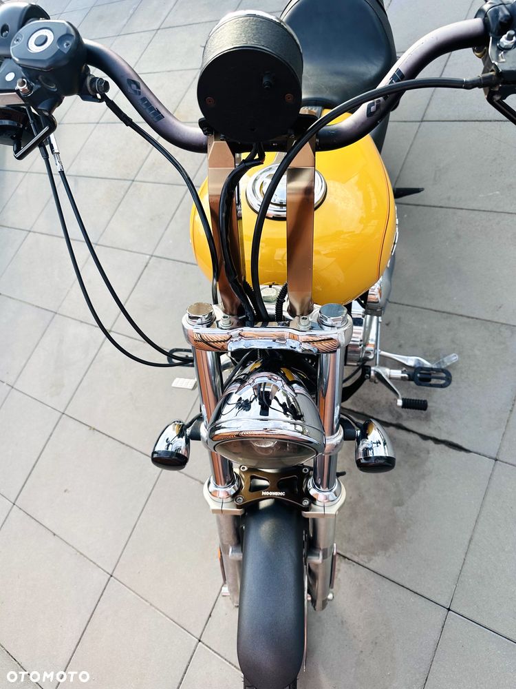 Harley-Davidson Sportster Custom 1200C - 14