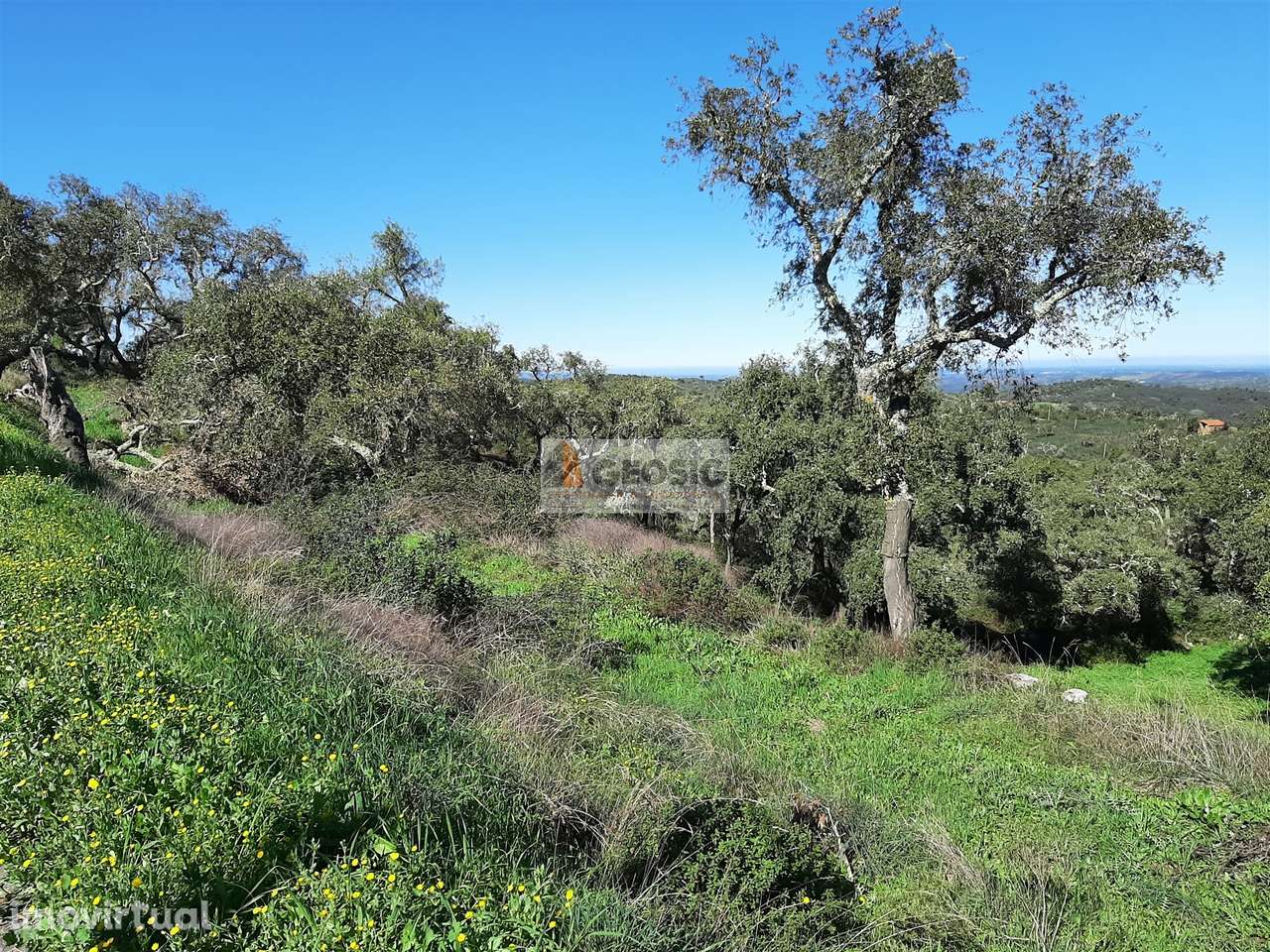 Terreno Rústico  Venda em São Barnabé,Almodôvar - Grande imagem: 2/6