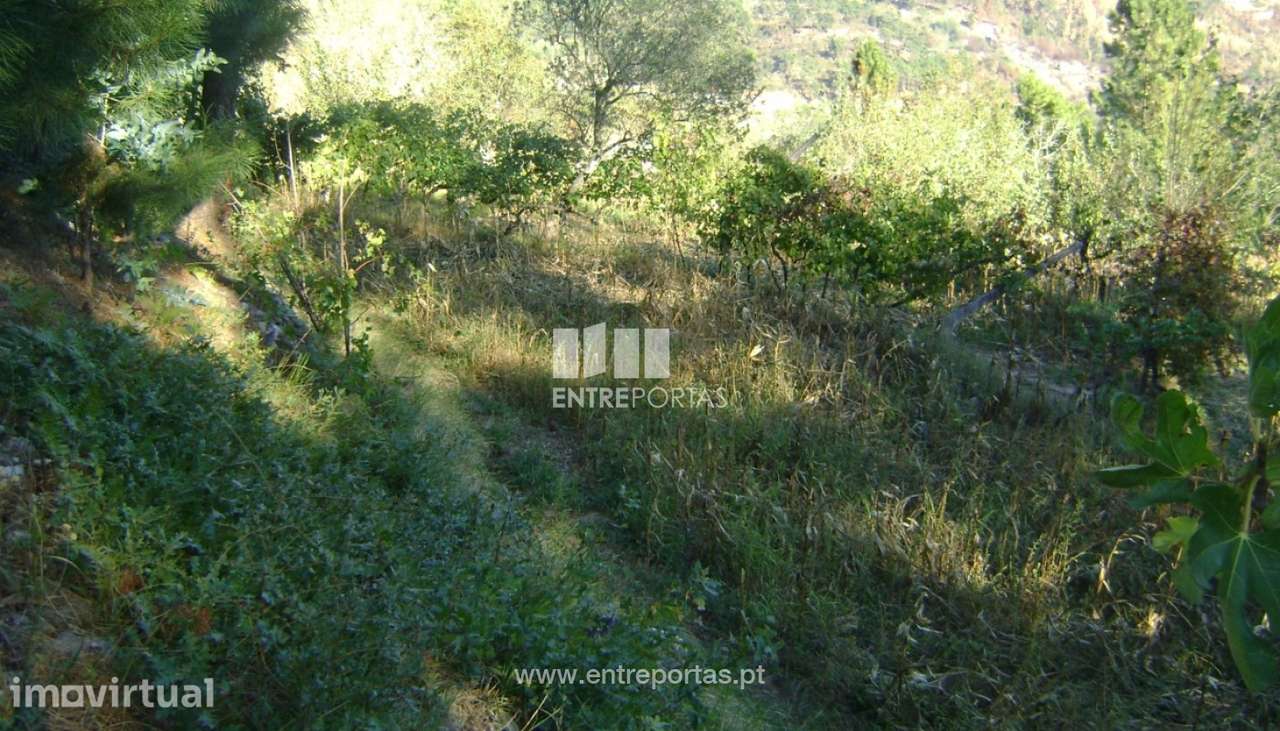 Venda Terreno, Penha Longa, Marco de Canaveses - Grande imagem: 3/7