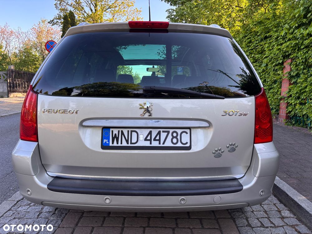 Peugeot 307 2.0 - 7
