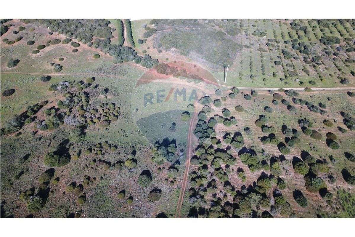 Fantático Terreno com viabilidade de construção - Grande imagem: 5/13