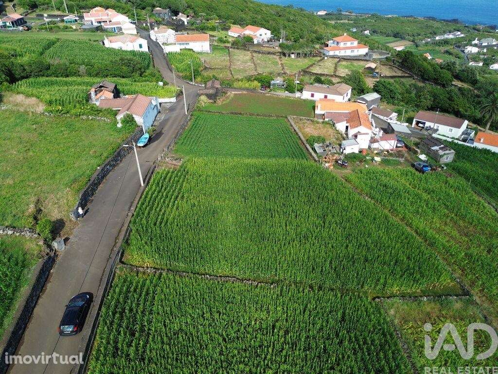Terreno Agrícola em Ribeiras - Grande imagem: 3/19