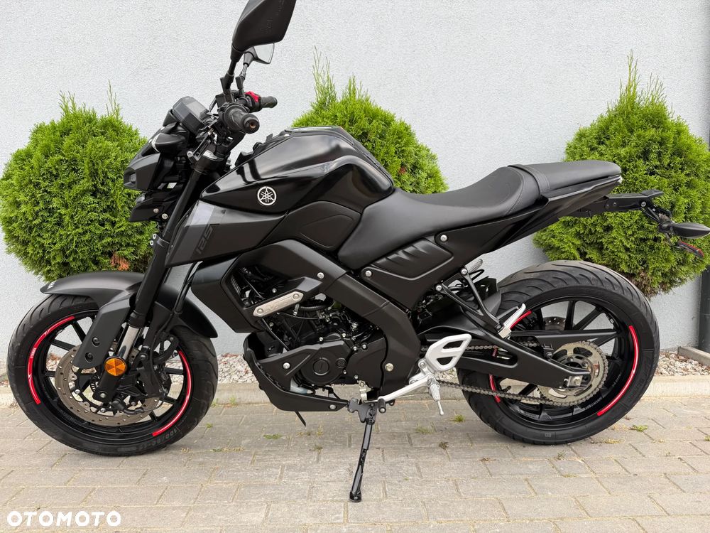 Yamaha MT - 6