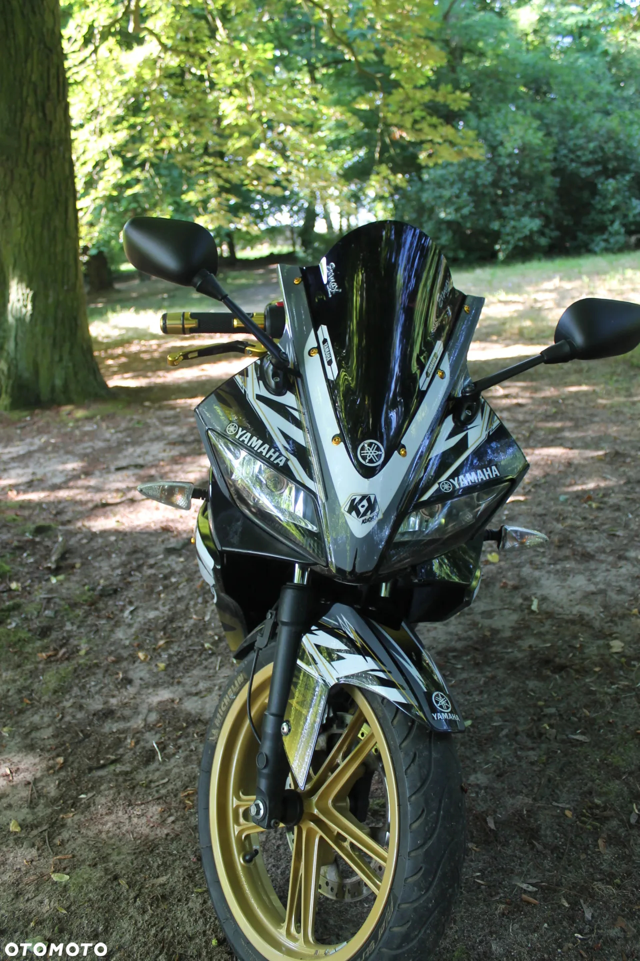 Yamaha YZF - 4