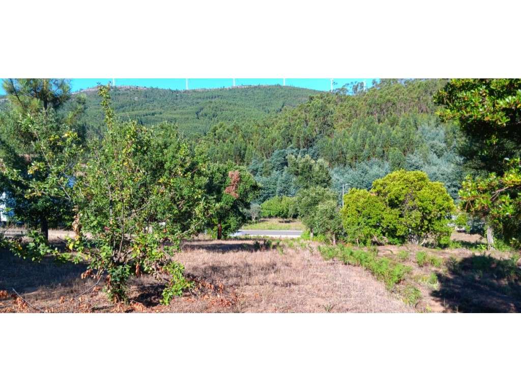 Terreno Agrícola/Florestal com construção rural a 10 Km da vila de ... - Grande imagem: 3/29