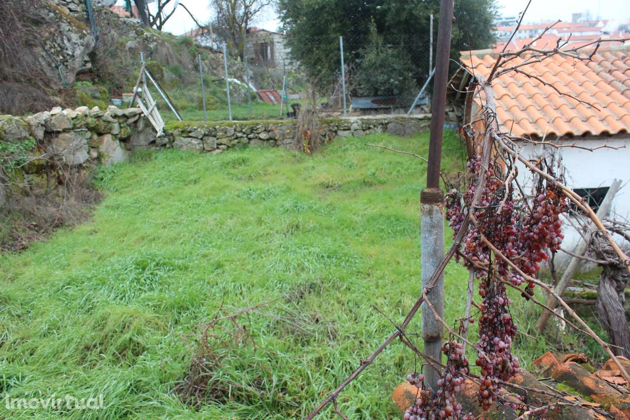 Moradia T3 Venda em Miranda do Douro,Miranda do Douro - Grande imagem: 3/18